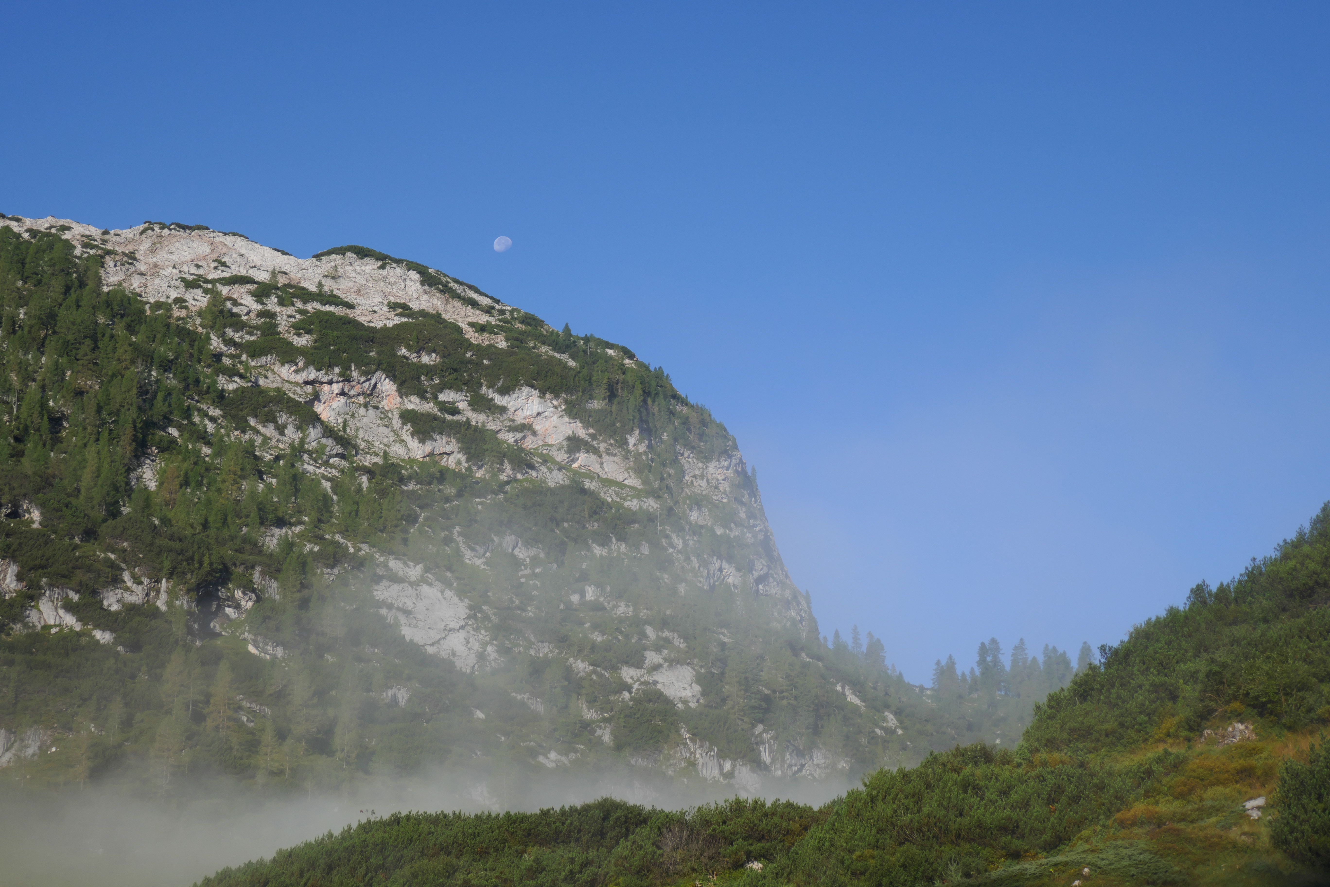 Nebel Mond